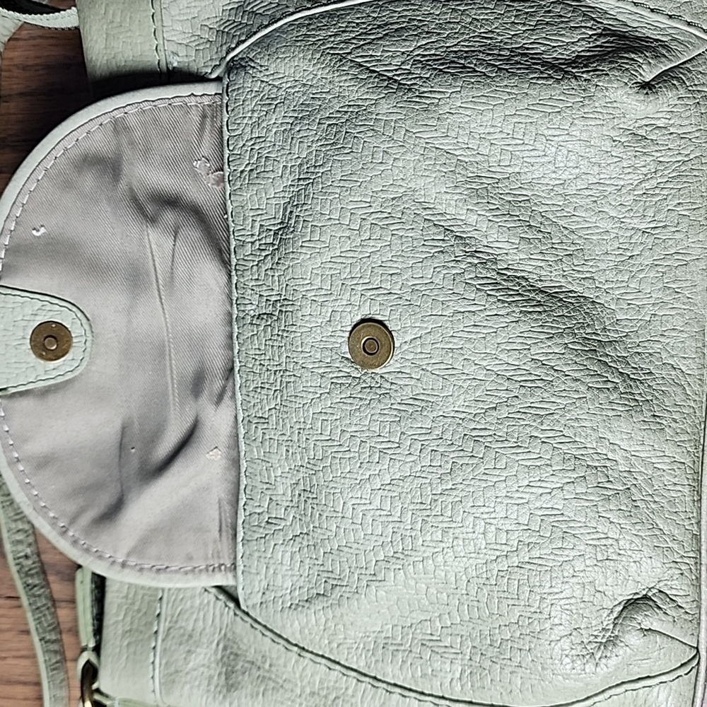 American Leather Co. Crossbody Bag in Soft Green - Picture 3 of 8
